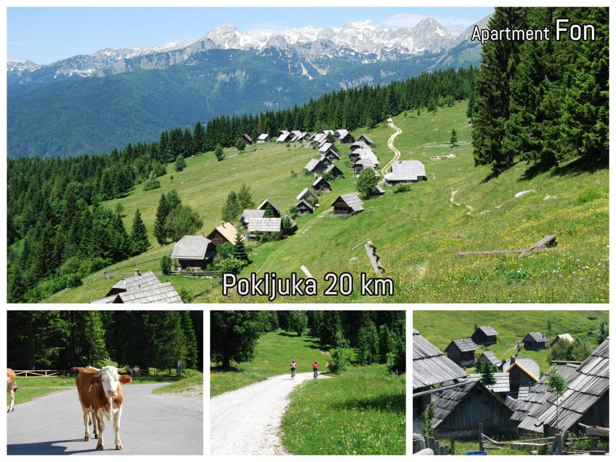 Apartment Fon Blejska Dobrava Luaran gambar